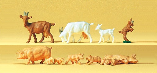CHEVRES COCHONS 