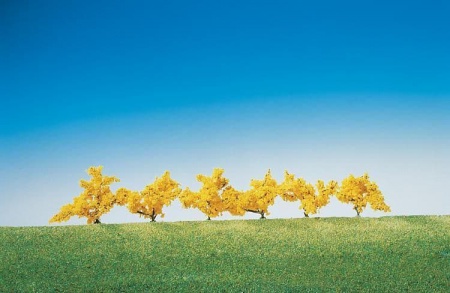 FORSYTHIAS FLEURS JAUNE 