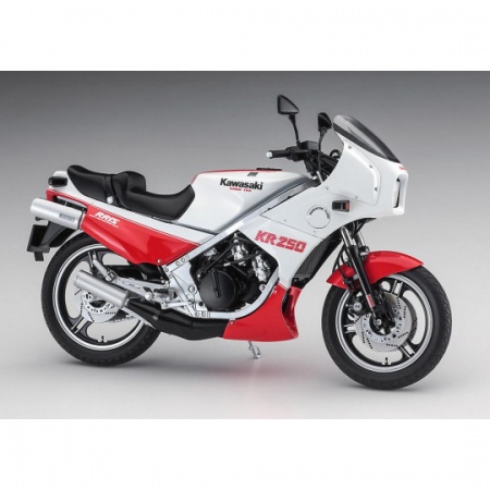 KAWASAKI KR250