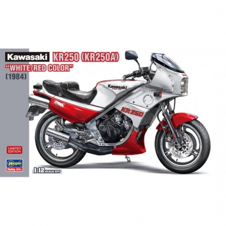 KAWASAKI KR250