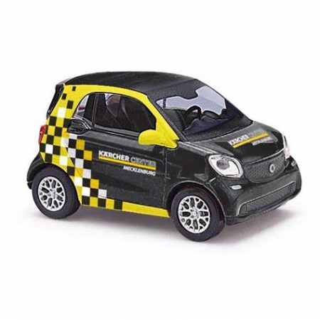 SMART FORTWO KARCHER 